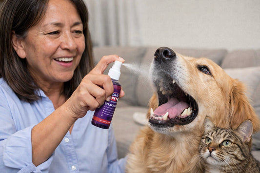 OralPet™ ¡Cuida la salud de tu mascota a tiempo!