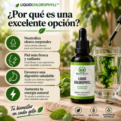 Liquid Chlorophyll™ – Clorofila Líquida Concentrada para tu Bienestar Diario